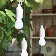 Load image into Gallery viewer, Lumen Light Bulb